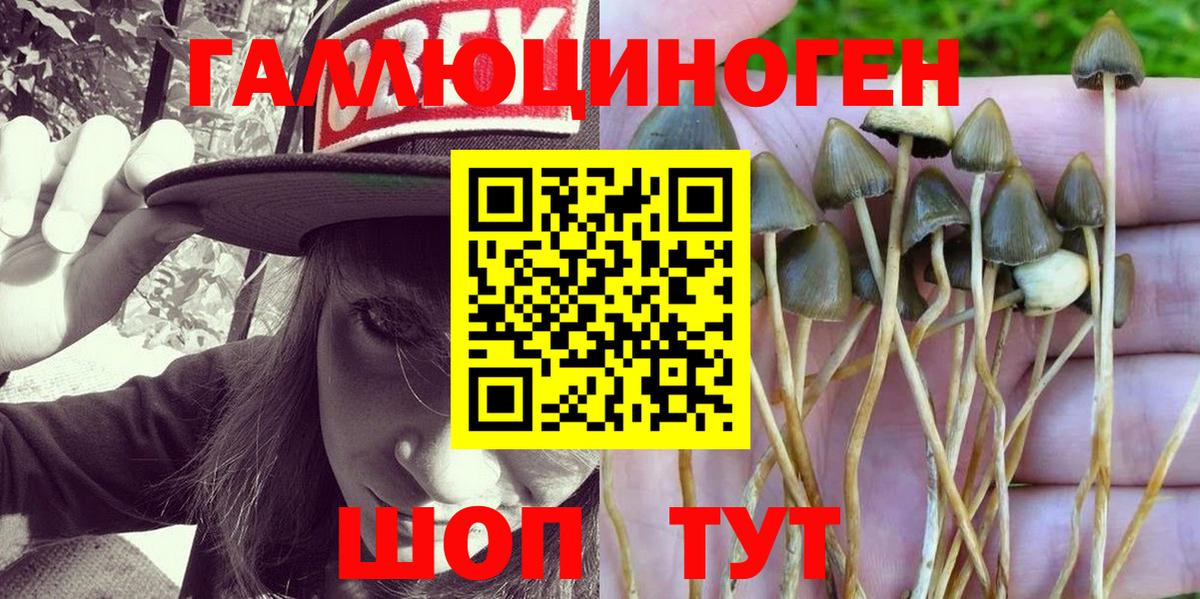 Псилоцибиновые грибы Magic Shrooms Воркута