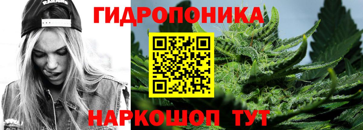 Канабис план  Бошки Шишки тримм  Воркута  Вход с VPN  Канабис конопля 